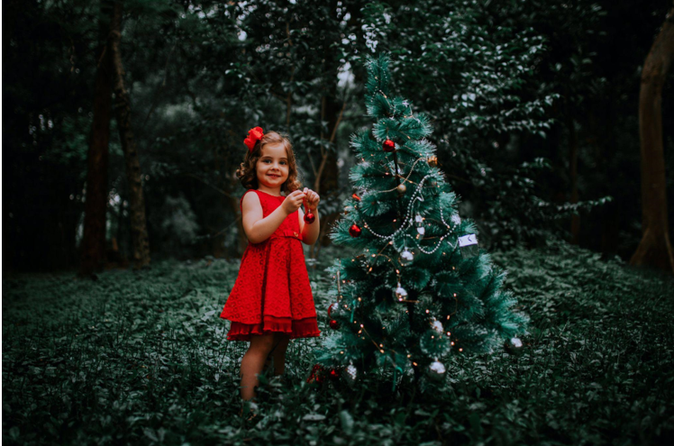 The Popularity of Christmas in July: Trees for Sale