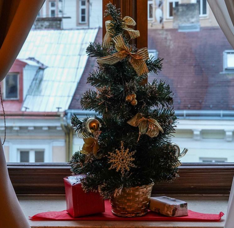 Tradition: The Story of the Christmas Tree