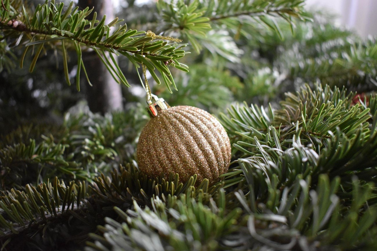 Find Christmas Trees on Sale: LED Trees for Every Home